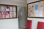Wall of Fame - th